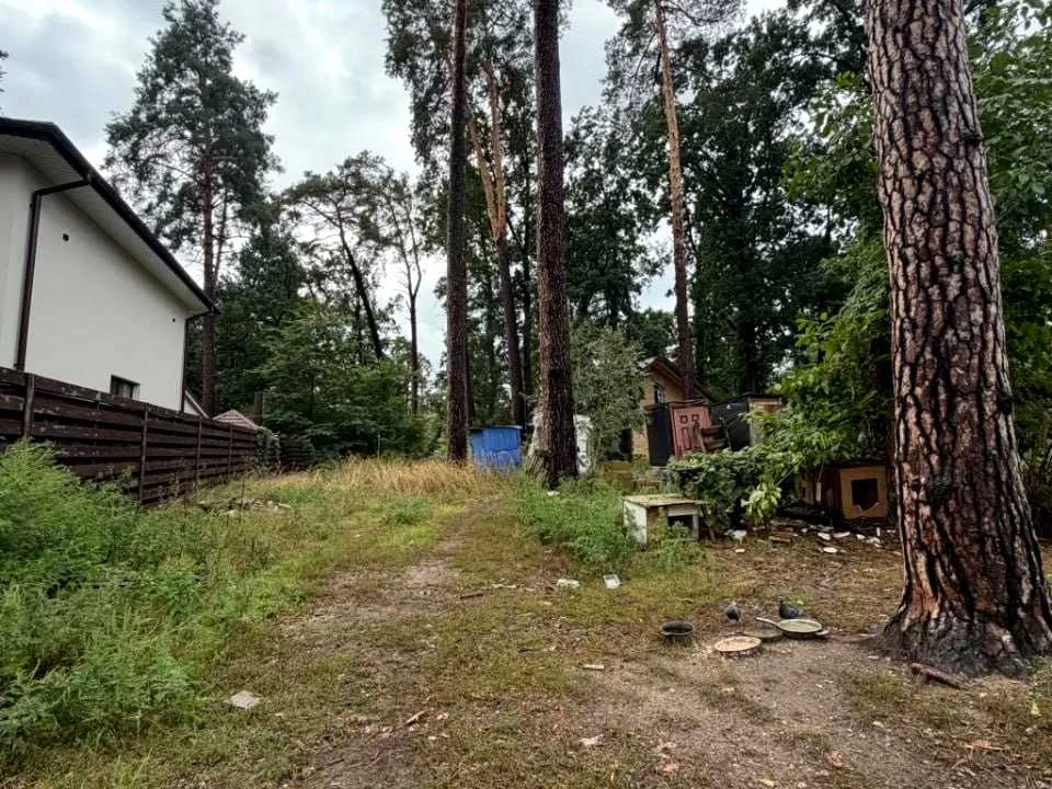 Ділянка. Буча, Отамана Орлика вул.