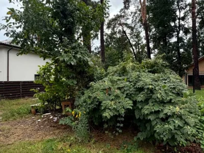 Ділянка. Буча, Отамана Орлика вул.