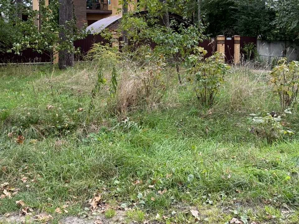 Ділянка. Буча, Франка вул.