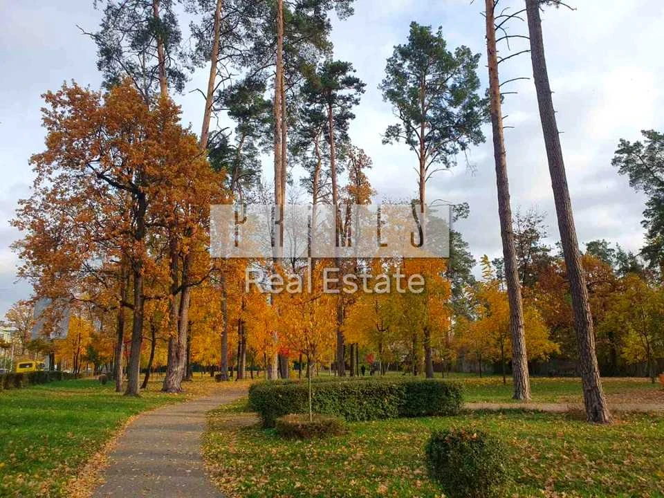 Ділянка. Буча, Мрії вул.