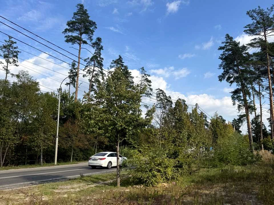 Ділянка. Буча, Шевченка вул.