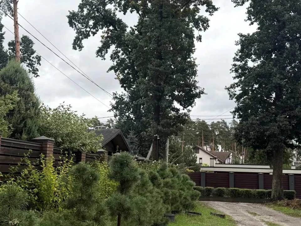 Ділянка. Буча, Отамана Орлика вул.