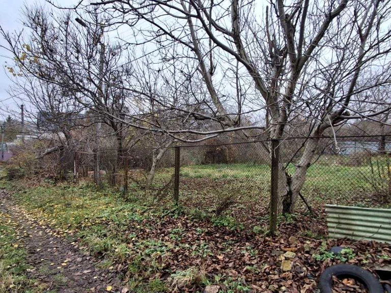 Ділянка. Буча