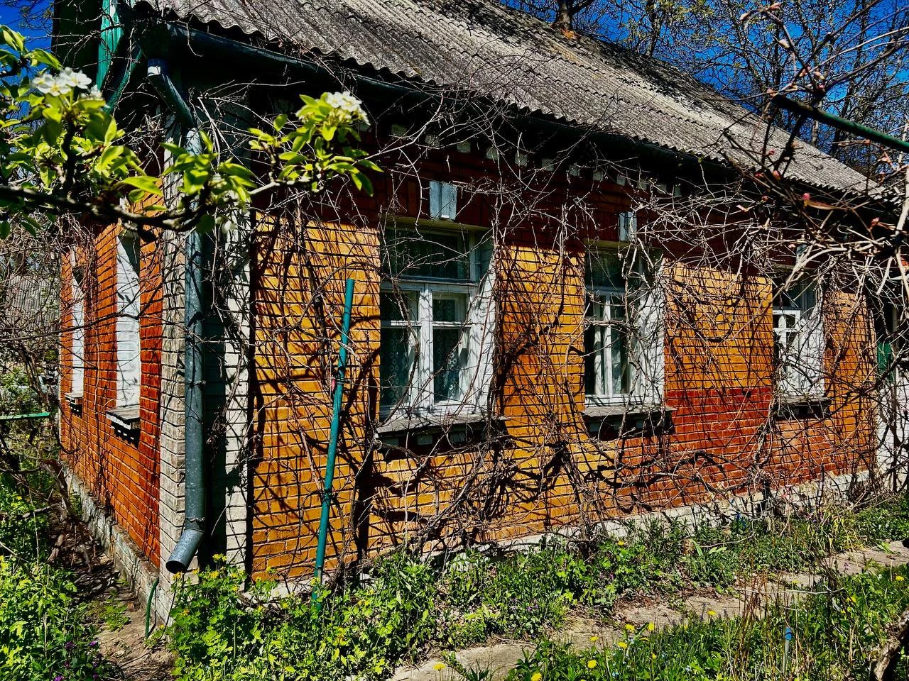 Продаж земельної ділянки вул. Першотравнева Буча (місто) / W