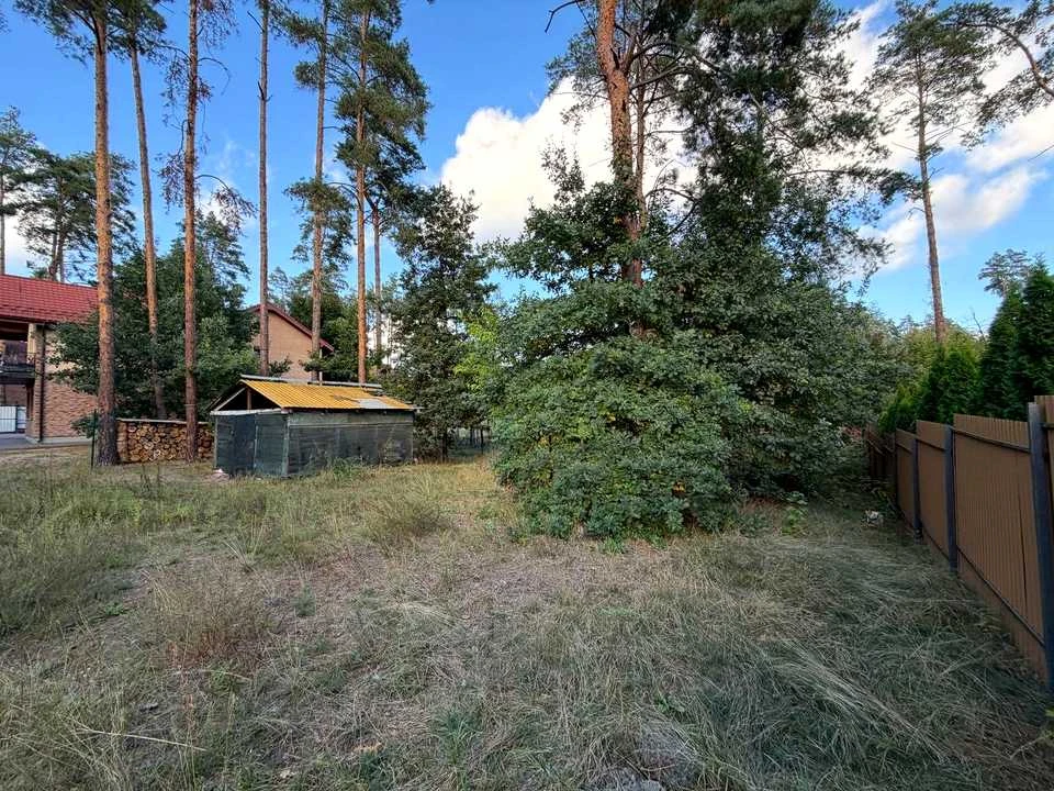 Ділянка. Буча, Революції Гідності вул.