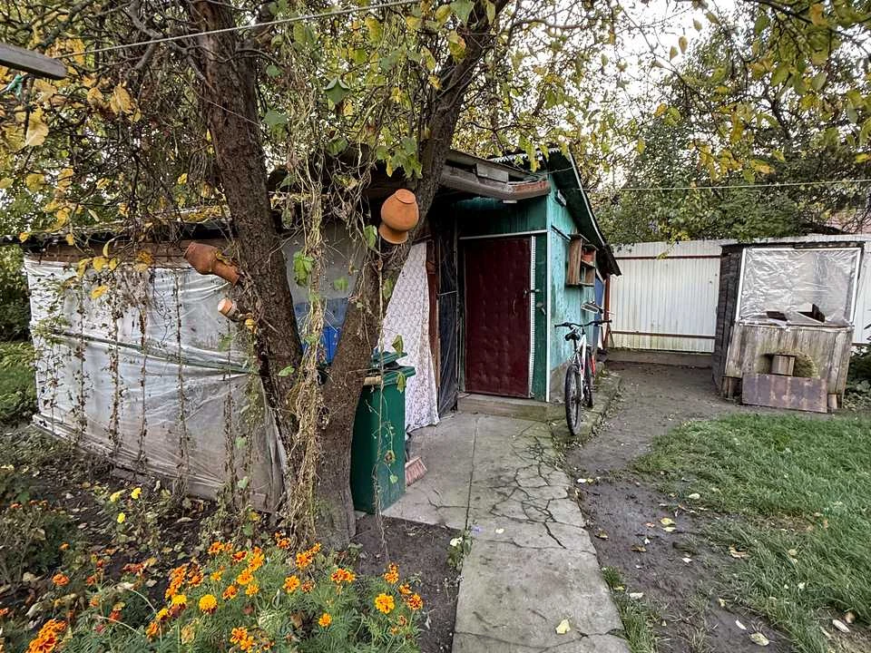 Ділянка. Буча, Івана Франка