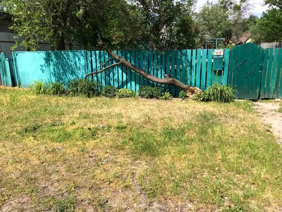 Ділянка. Буча, Івана Франка