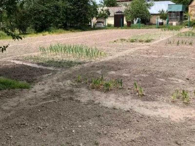 Ділянка. Буча, Івана Франка