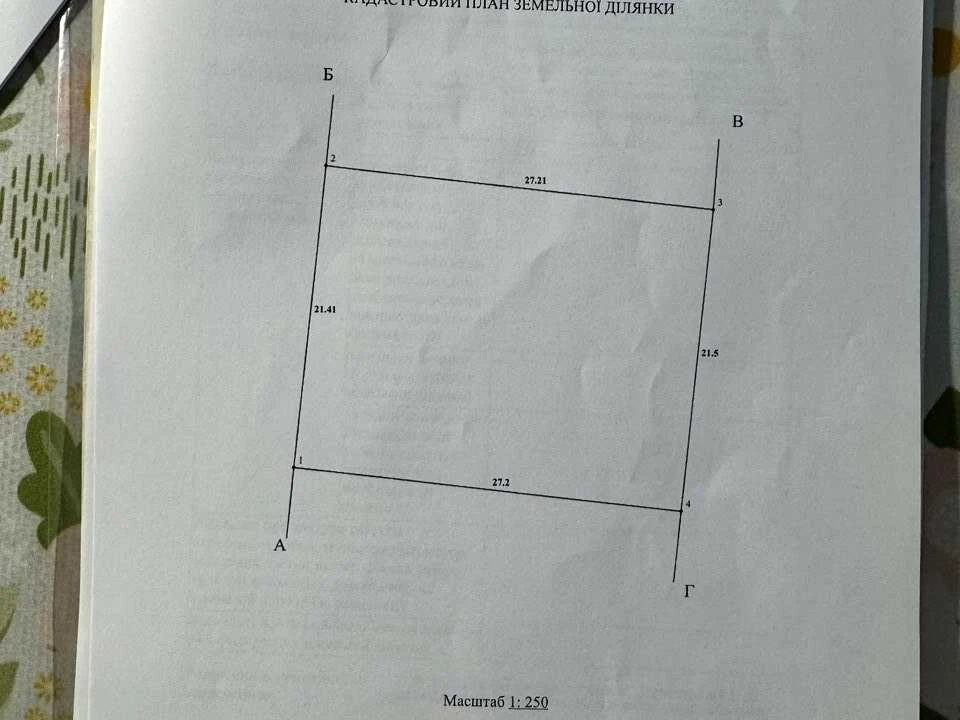 Ділянка. Буча, Дружби