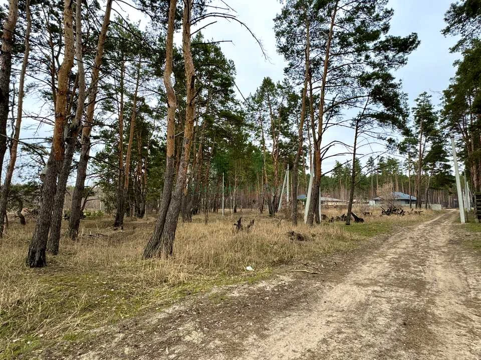 Ділянка. Буча, Левка Симиренка вул.