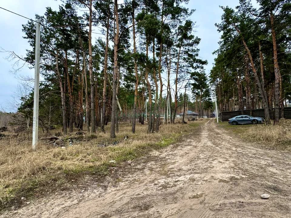 Ділянка. Буча, Левка Симиренка вул.