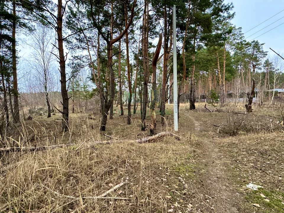 Ділянка. Буча, Левка Симиренка вул.