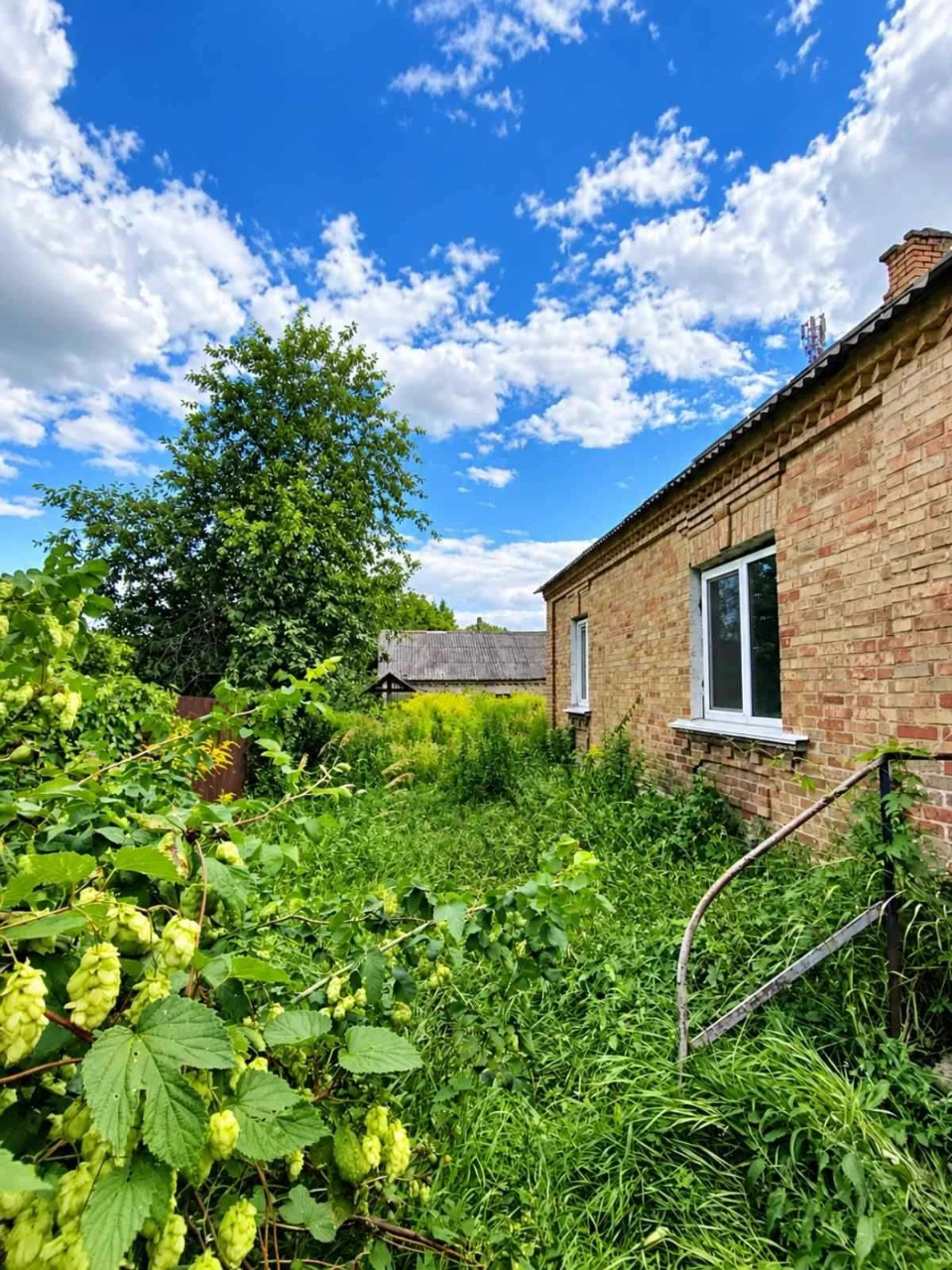 Продам земельну ділянку м. Буча вул. Яблунська 156, ділянка