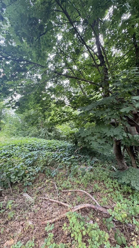Ділянка поруч Park residents та Авенір
