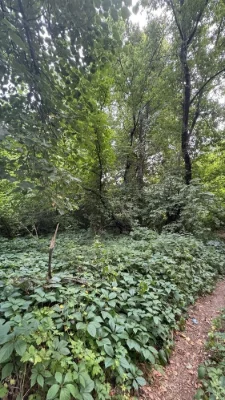 Ділянка поруч Park residents та Авенір
