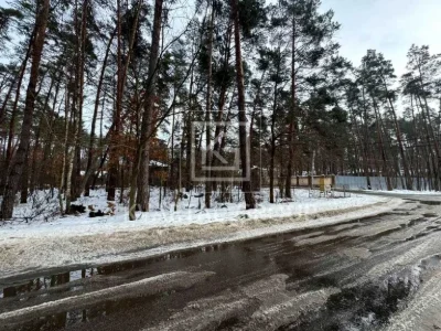 Ділянка. Буча, Гоголя вул.