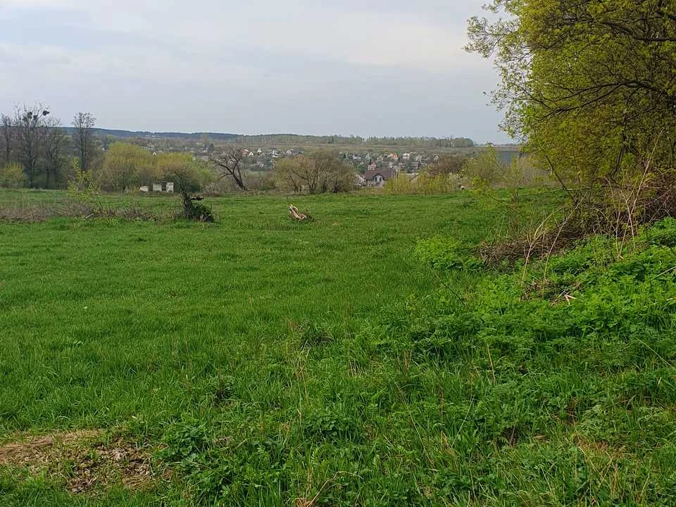 Ділянка. Буча,