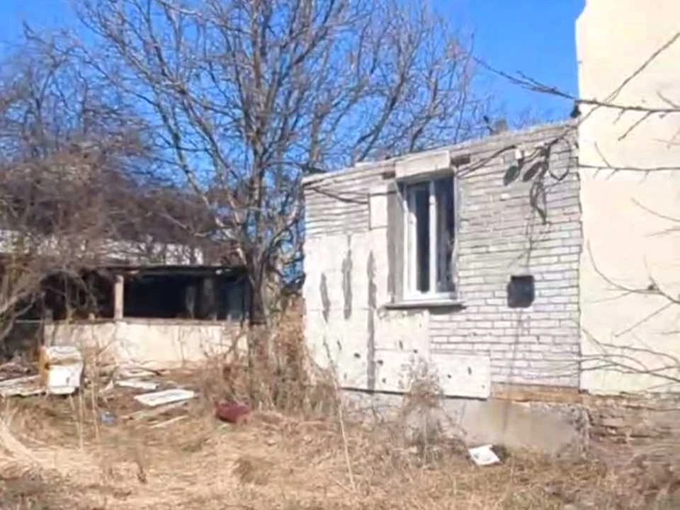 Ділянка. Буча, Курбаса