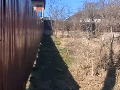 Ділянка. Буча, Курбаса