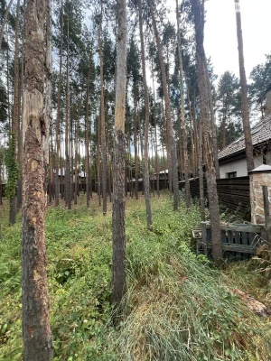 Продаж Ділянка під житлову забудову