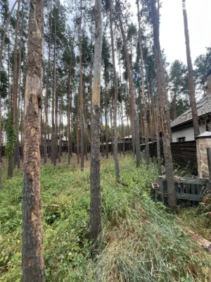 Продаж Ділянка під житлову забудову