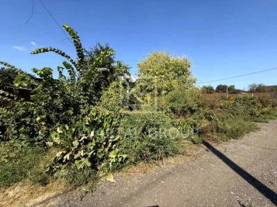 Ділянка. Буча, суврова