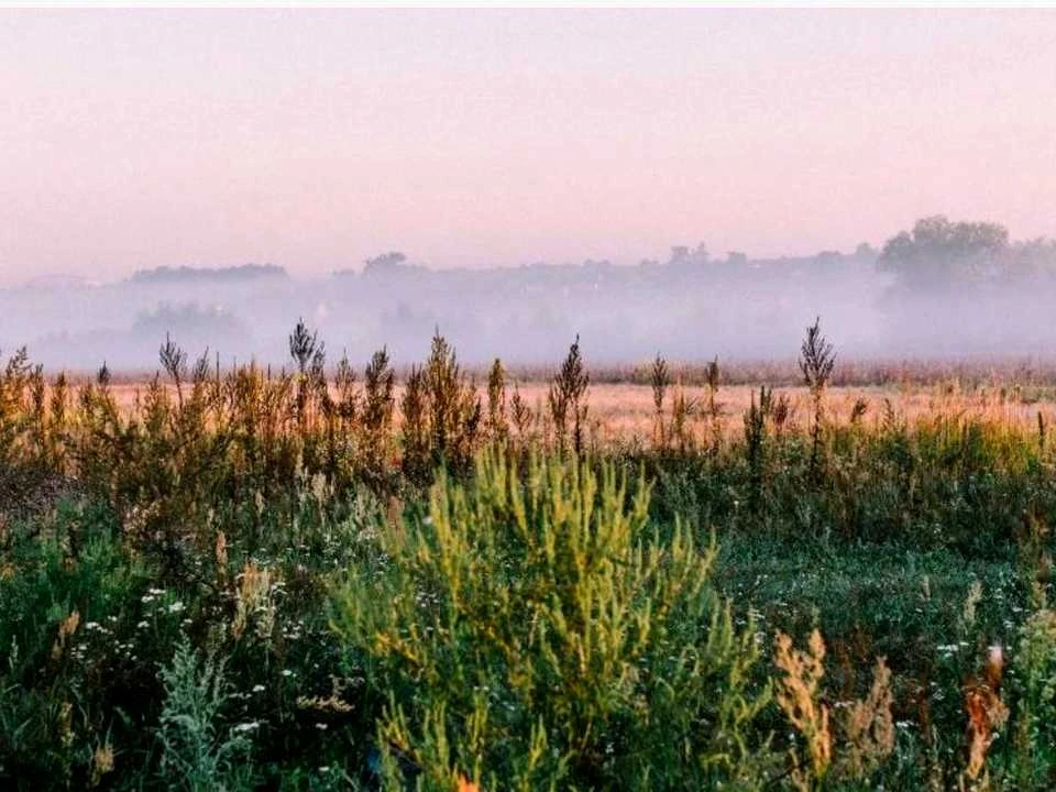 Ділянка. Буча, Левка Симиренка вул.
