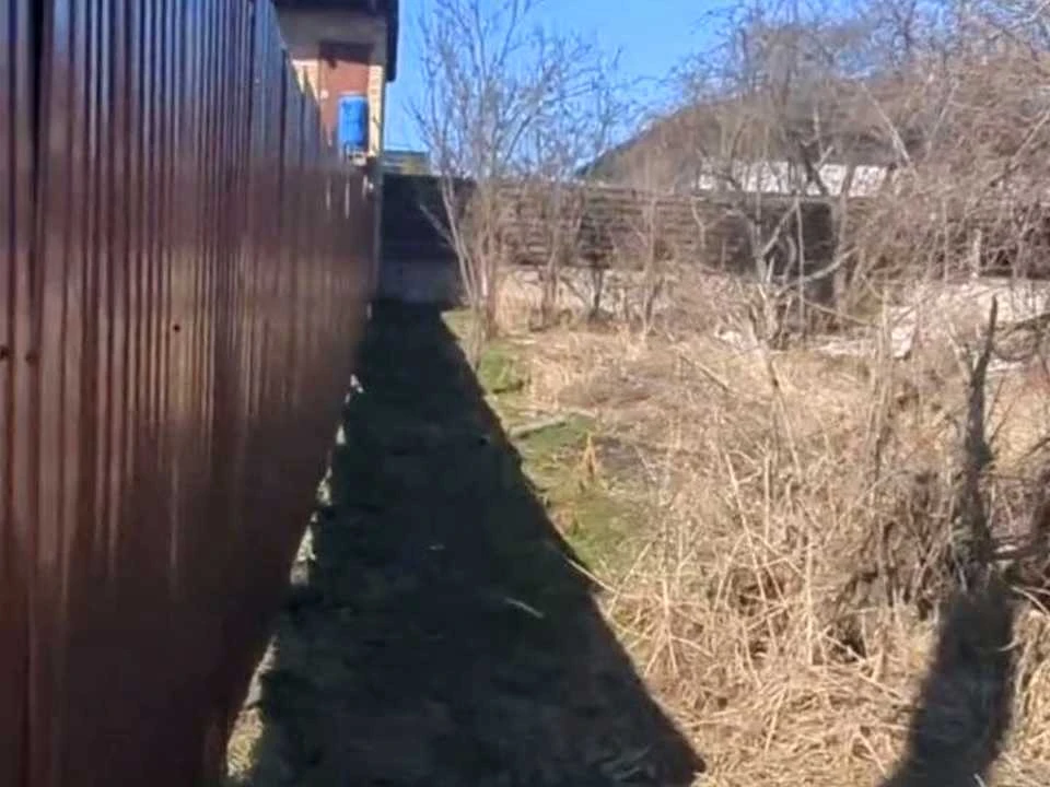 Ділянка. Буча, Леся Курбаса