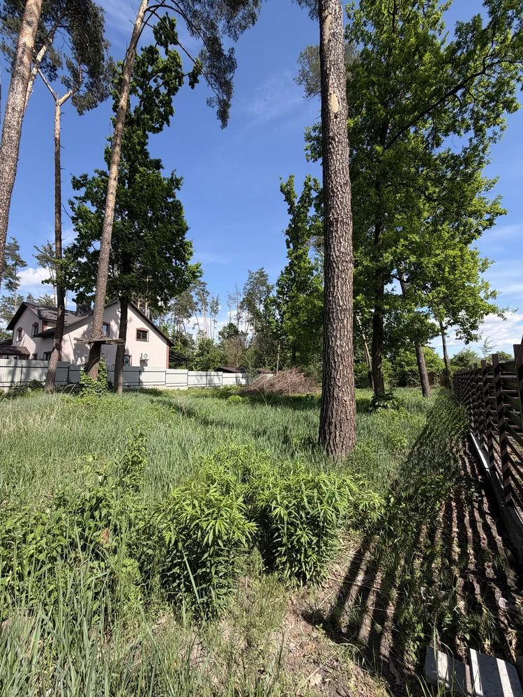 Участок в Лесной Буче, газ и городские коммуникации рядом.