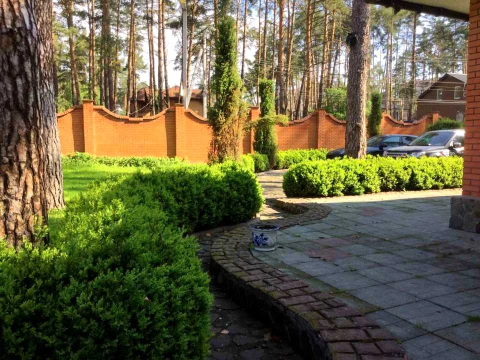 Ділянка. Буча, Гоголя вул.