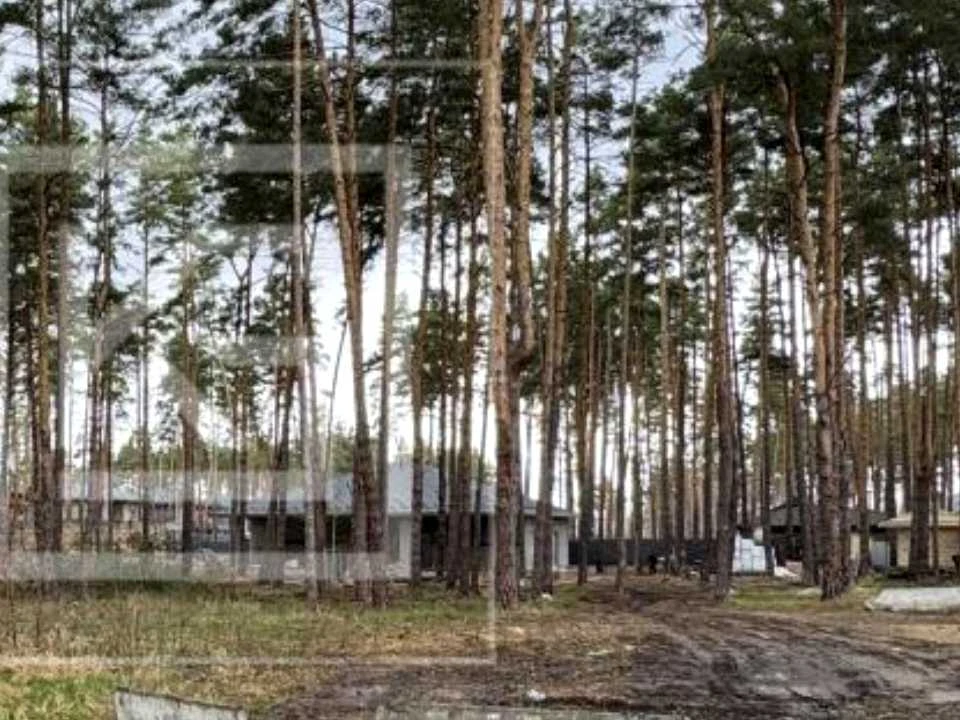 Ділянка. Буча, Стефаника