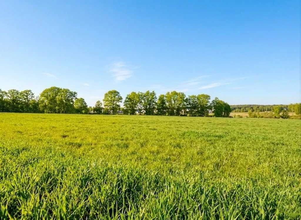 Продаж ділянки для будівель, закладів освіти 1,70га. Ястремщ
