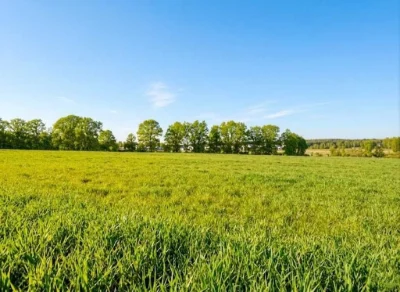 Продаж ділянки для будівель, закладів освіти 1,70га. Ястремщ