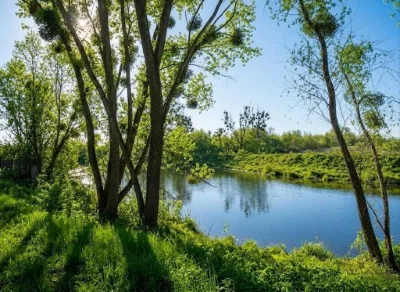 Продаж ділянки для будівель, закладів освіти 1,70га. Ястремщ