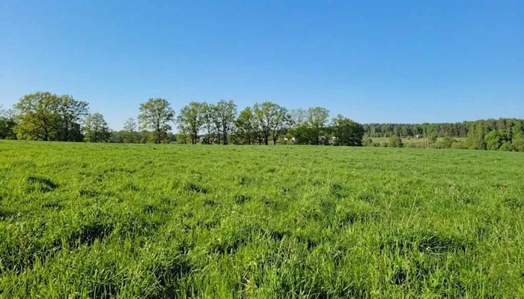 Продаж ділянки для будівель, закладів освіти 1,70га. Ястремщ