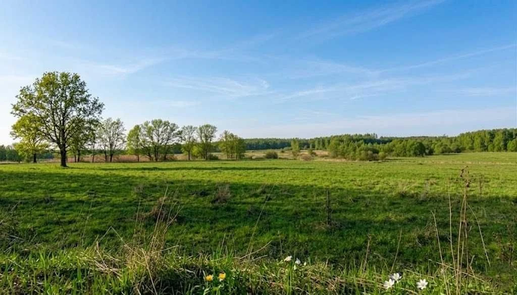 Продаж ділянки для будівель, закладів освіти 1,70га. Ястремщ