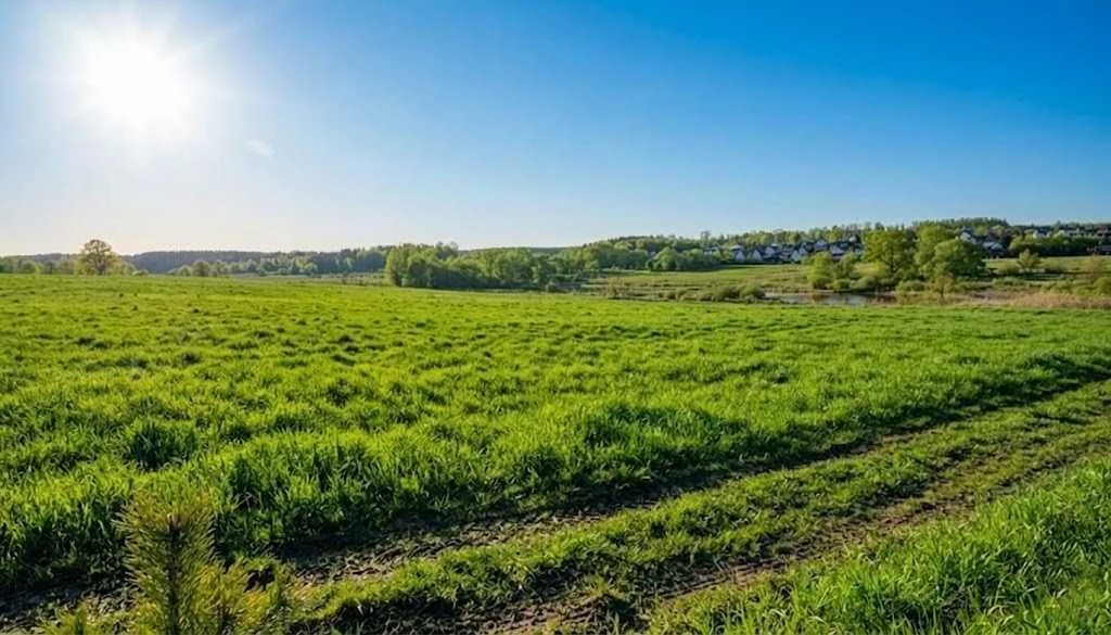 Продаж ділянки для будівель, закладів освіти 1,70га. Ястремщ