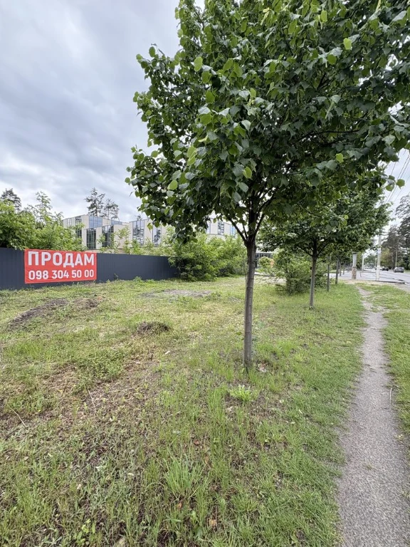 Земельна ділянка 42,65 сотки, Варшавська траса, вул.Шевченка