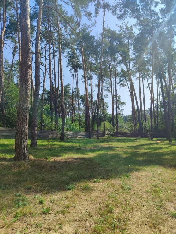 Продаж ділянки від хазяїна в Лісовій Бучі!