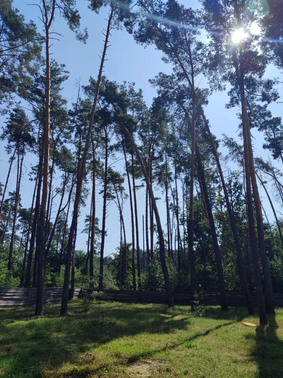 Продаж ділянки від хазяїна в Лісовій Бучі!