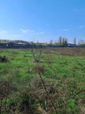Продається Фасадна ділянка 75 соток під Ваш бізнес
