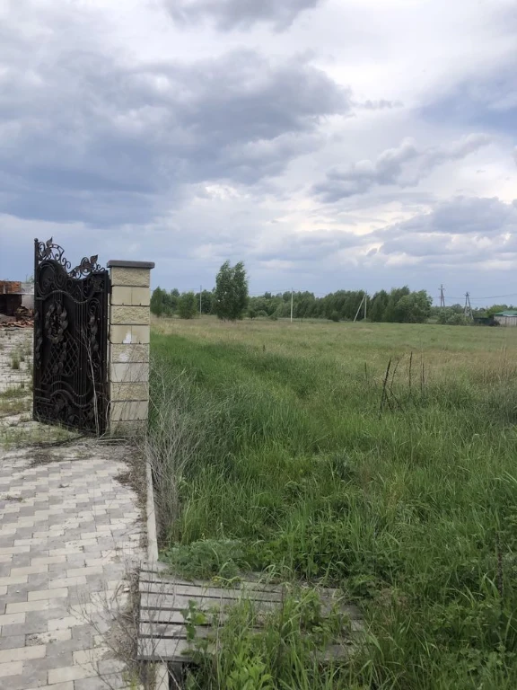 Буча  15 соток ділянка біля лісу