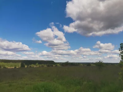 продам земельну ділянку
