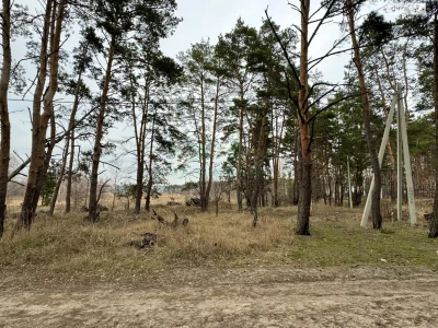 Продаж Ділянка під житлову забудову Буча