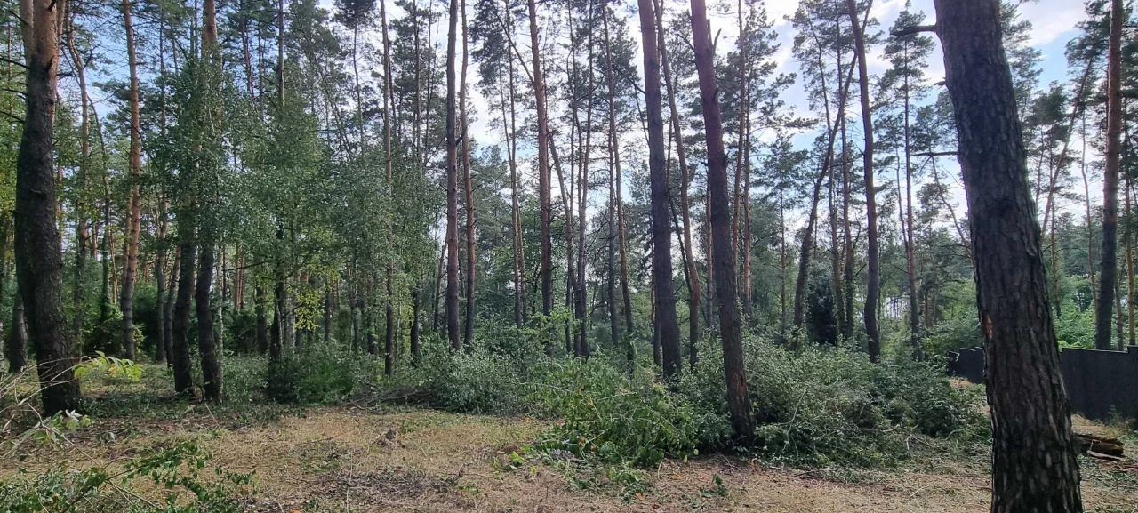 Блиставица 24 сотки
