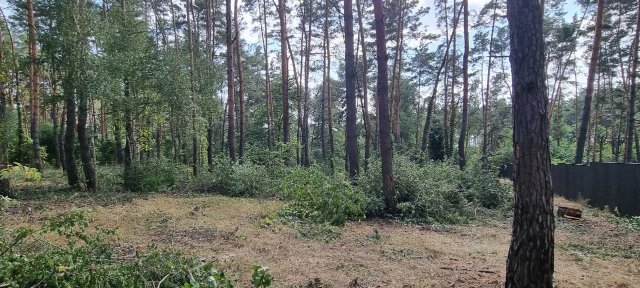 Блиставица 24 сотки