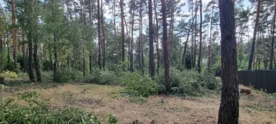 Блиставица 24 сотки