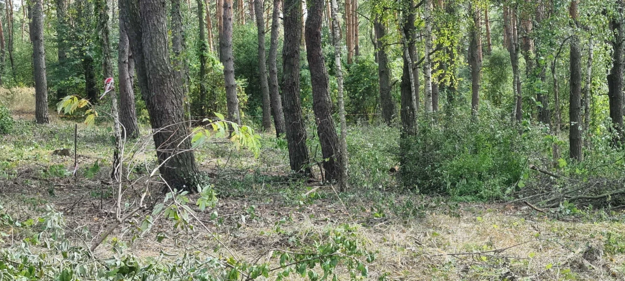 Блиставица 24 сотки