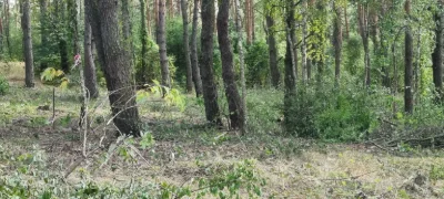 Блиставица 24 сотки