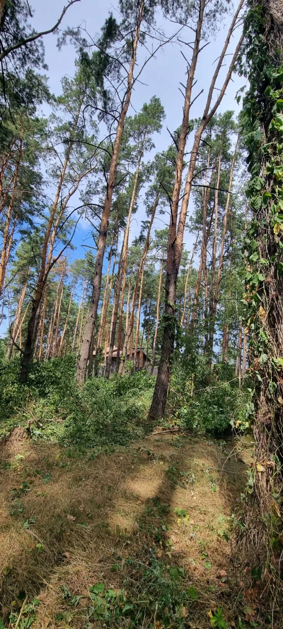 Блиставица 24 сотки